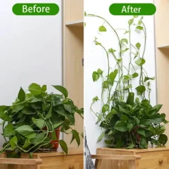 Mini-Pflanzen-Wandclips – selbstklebende Pflanzenhalter für den Innenbereich