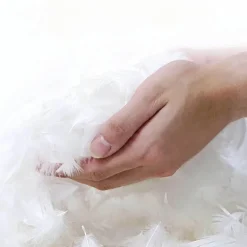 Modern Sofa - Stylish Contemporary Seating