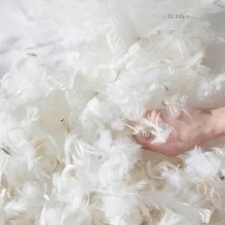 Modern Upholstered Sofa - Stylish Living Room Couch