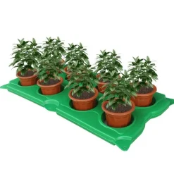 Moderner Hängepflanzer - Schwimmender Insel-Blumentopf