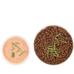 Natürliche Katzengras-Leckerlis - Gesunde Snacks aus der Dose für Katzen