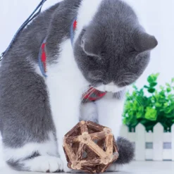 Natürlicher Katzenminzball – Lustiges, gesundes Katzenspielzeug