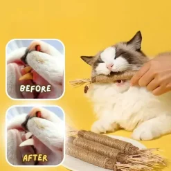 Natürliches Baby-Beißspielzeug-Set – 5-teilige Kollektion zur Beruhigung und Linderung