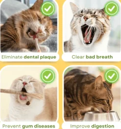 Natürliches Baby-Beißspielzeug-Set – 5-teilige Kollektion zur Beruhigung und Linderung