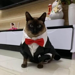 Niedliches Tierkostüm für Haustiere – Entzückendes Outfit für Hunde und Katzen