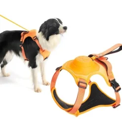 No-Pull-Hundegeschirr – Verstellbare, bequeme Trainingsleine