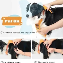 No-Pull-Hundegeschirr – Verstellbare, bequeme Trainingsleine