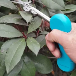 Obstpflückschere - Rutschfestes Trimmwerkzeug