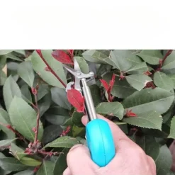 Obstpflückschere für den Garten – einfach zu verwendendes Erntewerkzeug