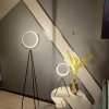 Orbital Grace Floor Lamp - Modern Adjustable Lighting