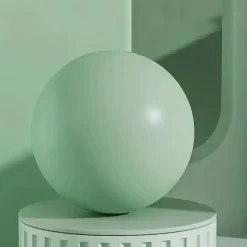 Premium Pilates Ball – 9,84