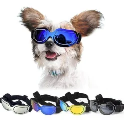 Reithelm für Haustiere – Stilvolle Sicherheitsausrüstung für Haustiere