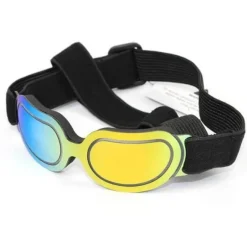 Reithelm für Haustiere – Stilvolle Sicherheitsausrüstung für Haustiere