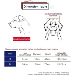 Reithelm für Haustiere – Stilvolle Sicherheitsausrüstung für Haustiere