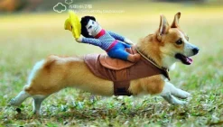 Reitpferd-Hundekostüm – Lustiges Haustier-Halloween-Outfit