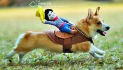 Reitpferd-Hundekostüm – Lustiges Haustier-Halloween-Outfit