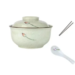Retro Ramen Schüssel Set - Keramik mit Deckel Essstäbchen Löffel
