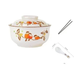 Retro Ramen Schüssel Set - Keramik mit Deckel Essstäbchen Löffel