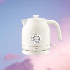 Retro-Wasserkocher - Teekanne mit Temperaturregelung
