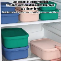 Robuste Bento-Box aus Silikon – stilvoller Lunchbehälter mit Fächern für Erwachsene unterwegs