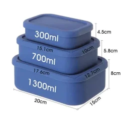 Robuste Bento-Box aus Silikon – stilvoller Lunchbehälter mit Fächern für Erwachsene unterwegs