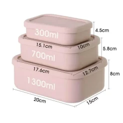 Robuste Bento-Box aus Silikon – stilvoller Lunchbehälter mit Fächern für Erwachsene unterwegs