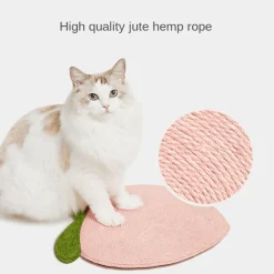 Robustes Kratzbrett in Mandarine für spielerische Entspannung und gesunde Krallen