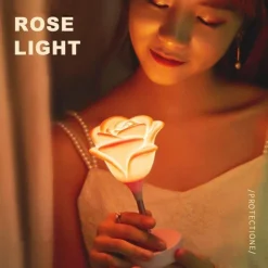 Rosenblumen-Nachtlicht - Romantisches Wohndekor