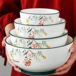 Schüssel- und Tellerset aus Bone China – Elegantes Essgeschirr für Reisnudeln