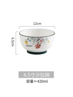 Schüssel- und Tellerset aus Bone China – Elegantes Essgeschirr für Reisnudeln