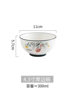 Schüssel- und Tellerset aus Bone China – Elegantes Essgeschirr für Reisnudeln