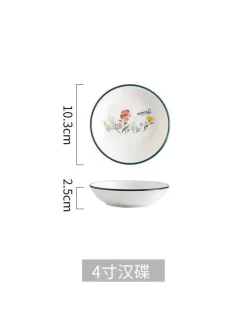 Schüssel- und Tellerset aus Bone China – Elegantes Essgeschirr für Reisnudeln