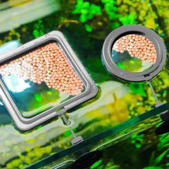 Schwimmendes Fischfuttertablett – Kreatives Aquariumzubehör