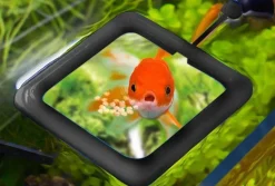 Schwimmendes Fischfuttertablett – Kreatives Aquariumzubehör