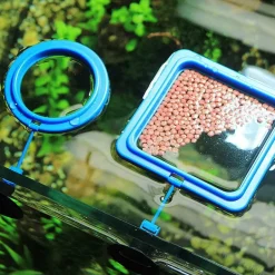 Schwimmendes Fischfuttertablett – Kreatives Aquariumzubehör