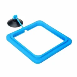 Schwimmendes Fischfuttertablett – Kreatives Aquariumzubehör