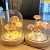 Seeigel-Nachtlicht – Einzigartige DIY-Heimdekoration
