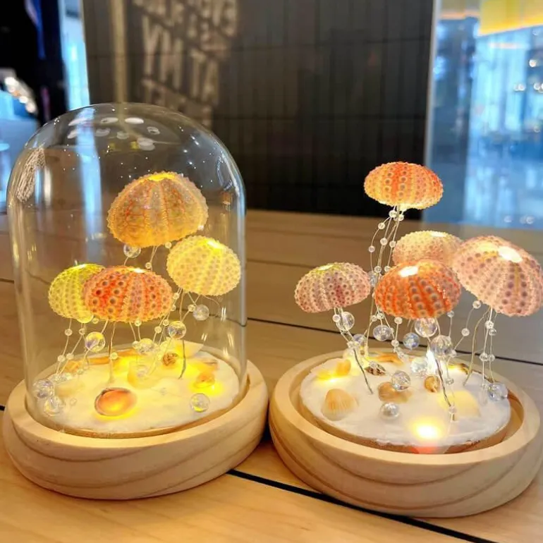 Seeigel-Nachtlicht – Einzigartige DIY-Heimdekoration