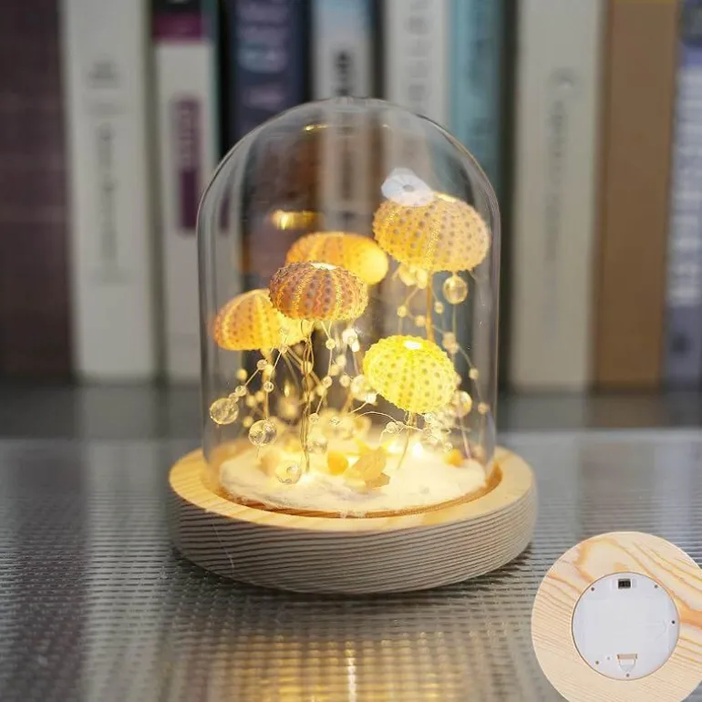 Seeigel-Nachtlicht – Einzigartige DIY-Heimdekoration