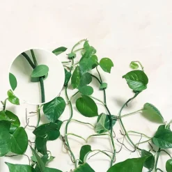 Selbstklebende Haken in Blattform – 10er-Pack dekorative Organizer