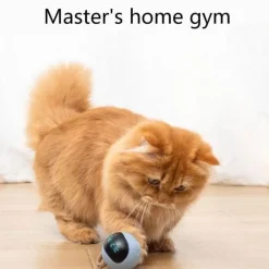 Selbstrotierendes Katzenspielzeug – Interaktives, rotierendes Haustierspielzeug