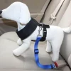 Sicherheitsgurtleine für Hunde – Sicherheitsgurt für Autoreisen