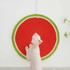 Sisal-Katzenkratzbaum – Robustes Krallenbrett für gesunde Katzenkrallen