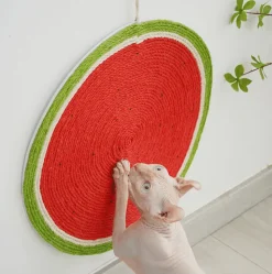 Sisal-Katzenkratzbaum – Robustes Krallenbrett für gesunde Katzenkrallen