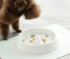 Slow Feeder Hundenapf – Anti-Schling-Napf für gesunde Ernährung