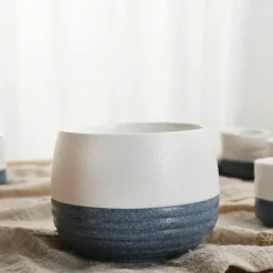 Snowflake Sake Set - Elegante Weißweingläser