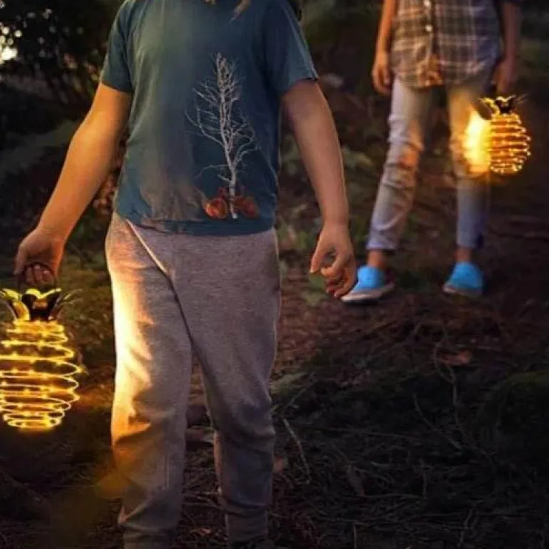 Solar-Gartenleuchte Ananas – Dekorative Außenlampe