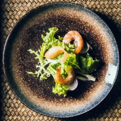 Steakteller-Set aus Keramik – elegantes Serviertablett im Western-Stil für Mahlzeiten