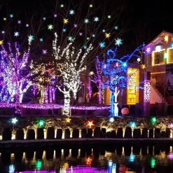 Sternenprojektor-Nachtlicht – LED-Himmelslampe für ein farbenfrohes Schlafzimmerambiente