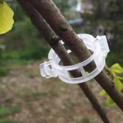 Stützklammern für Gartenpflanzen – Sichere grüne Pfähle für das Pflanzenwachstum